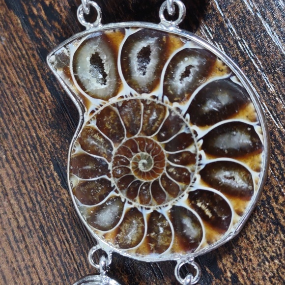 Ammonite Fossil Bracelet - Picture 11 of 12